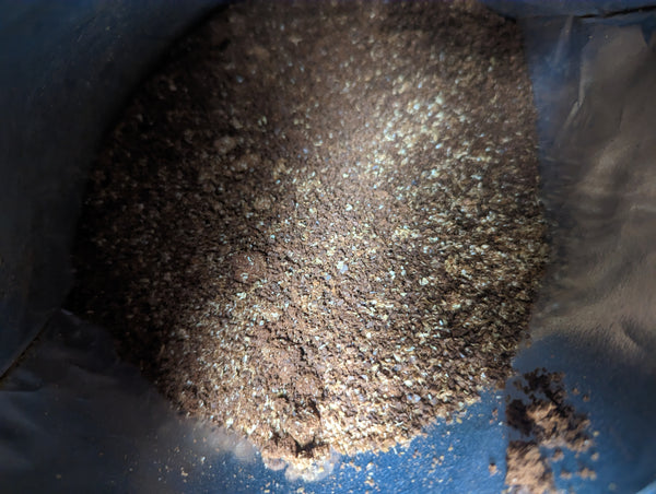 Little Fin Roastery COLOMBIA LAGUNA - ESPRESSO Coffee per 100g