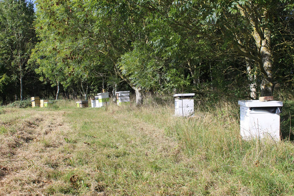 Honey🍯From Tudor honey. Now Refillable.