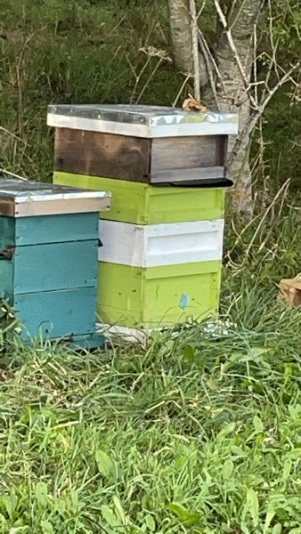 Honey🍯From Tudor honey. Now Refillable.