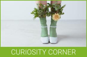 Curiosity Corner