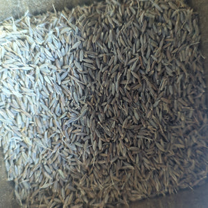 Cumin Seeds per 10g BBE: 02/25