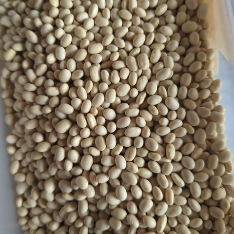 Organic Haricot Beans per 100g BBE: Jan24