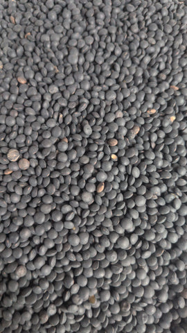 Organic Beluga lentils Black per 100g BBE: