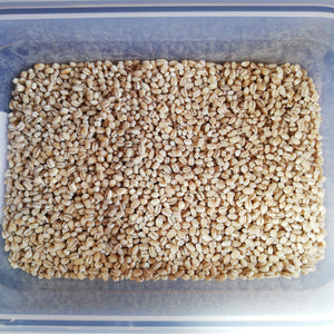 Organic Pearl Barley per 100g BBE:Apr 25