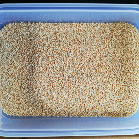 Organic Wholemeal Couscous per 100g BBE: 08/23