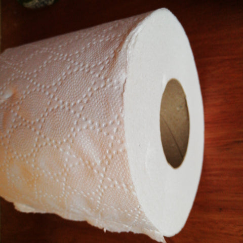 Recycled Toilet rolls