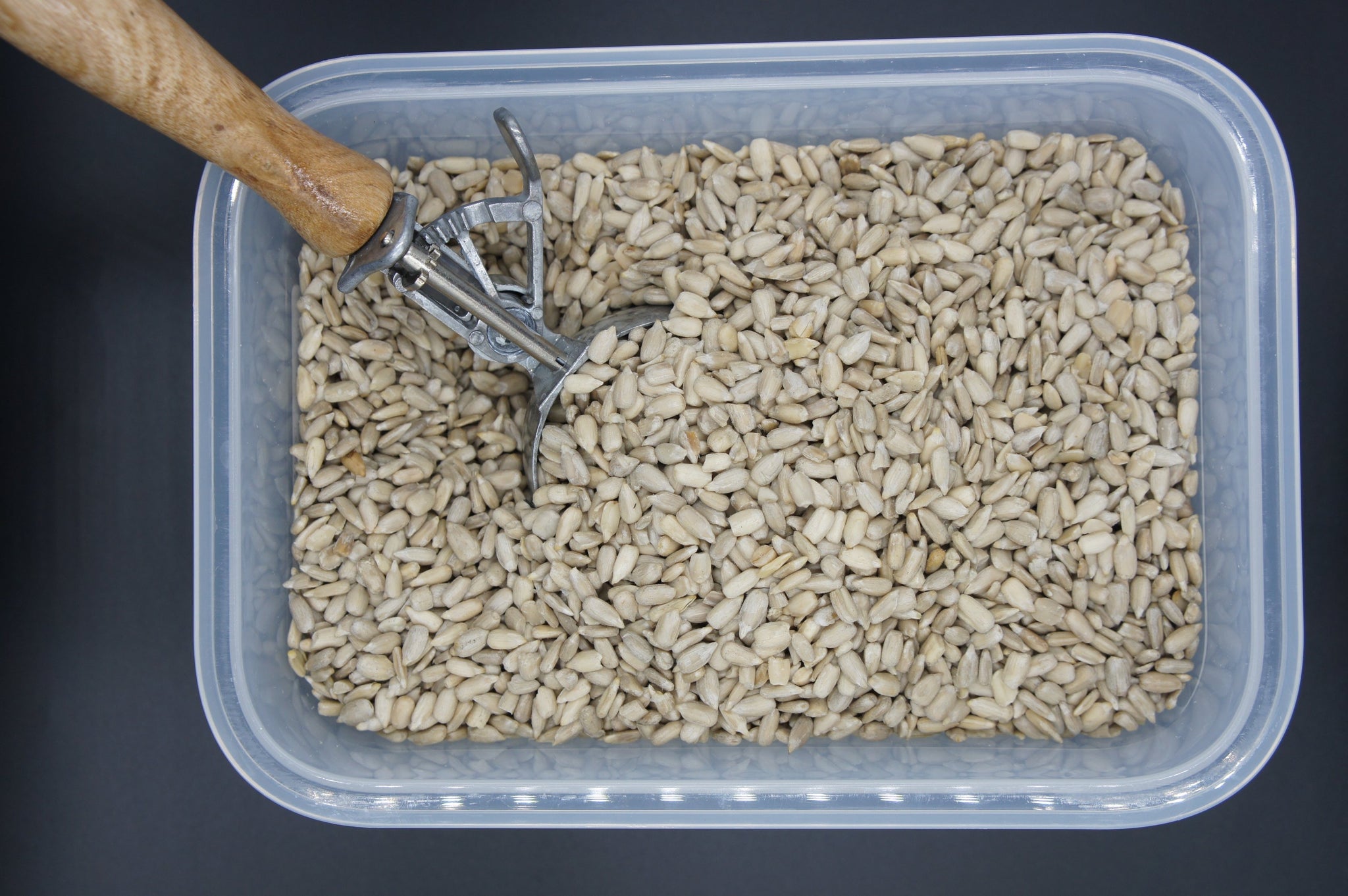 Sunflower Seeds per 100g BBE:04/24