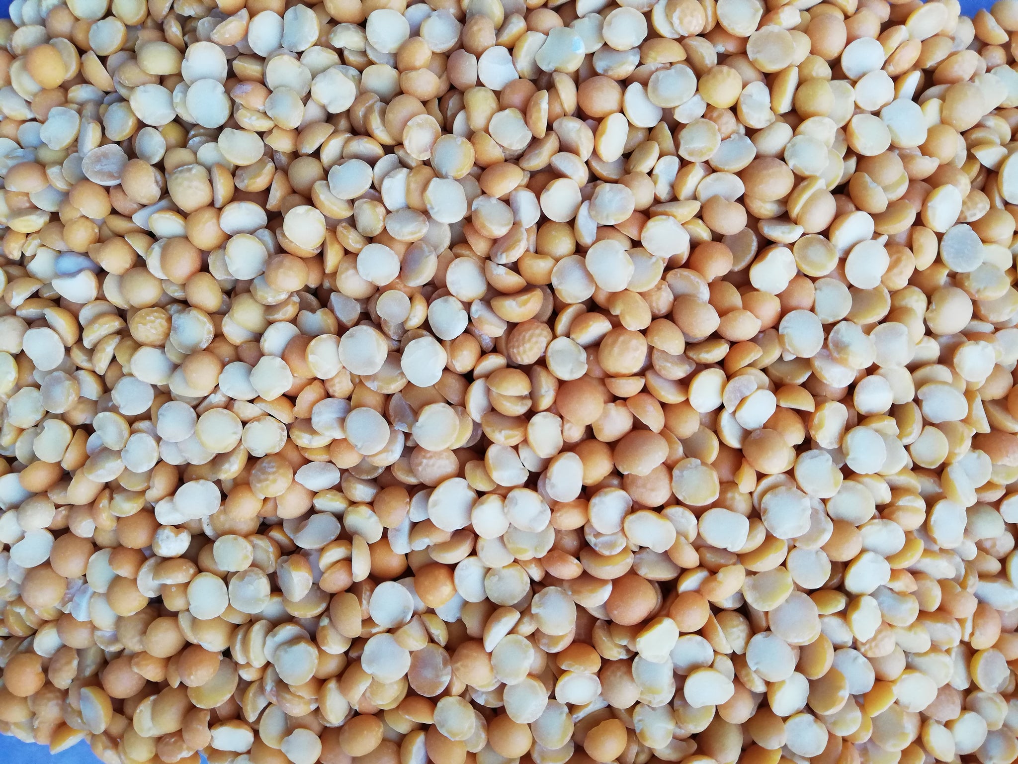 Yellow split peas per 100g BBE:June24 Free online pre order only