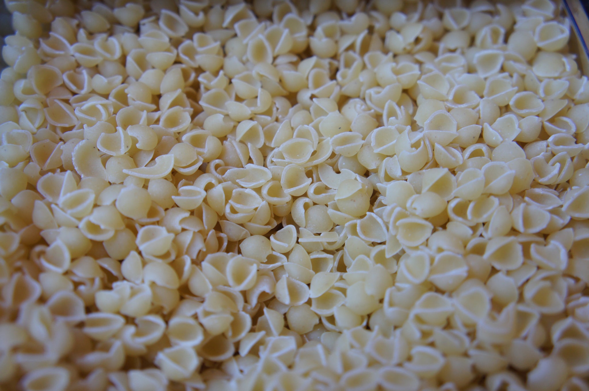 Organic Conchiglie White per 100g BBE:06/24