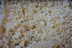 Organic Conchiglie White per 100g BBE:06/24