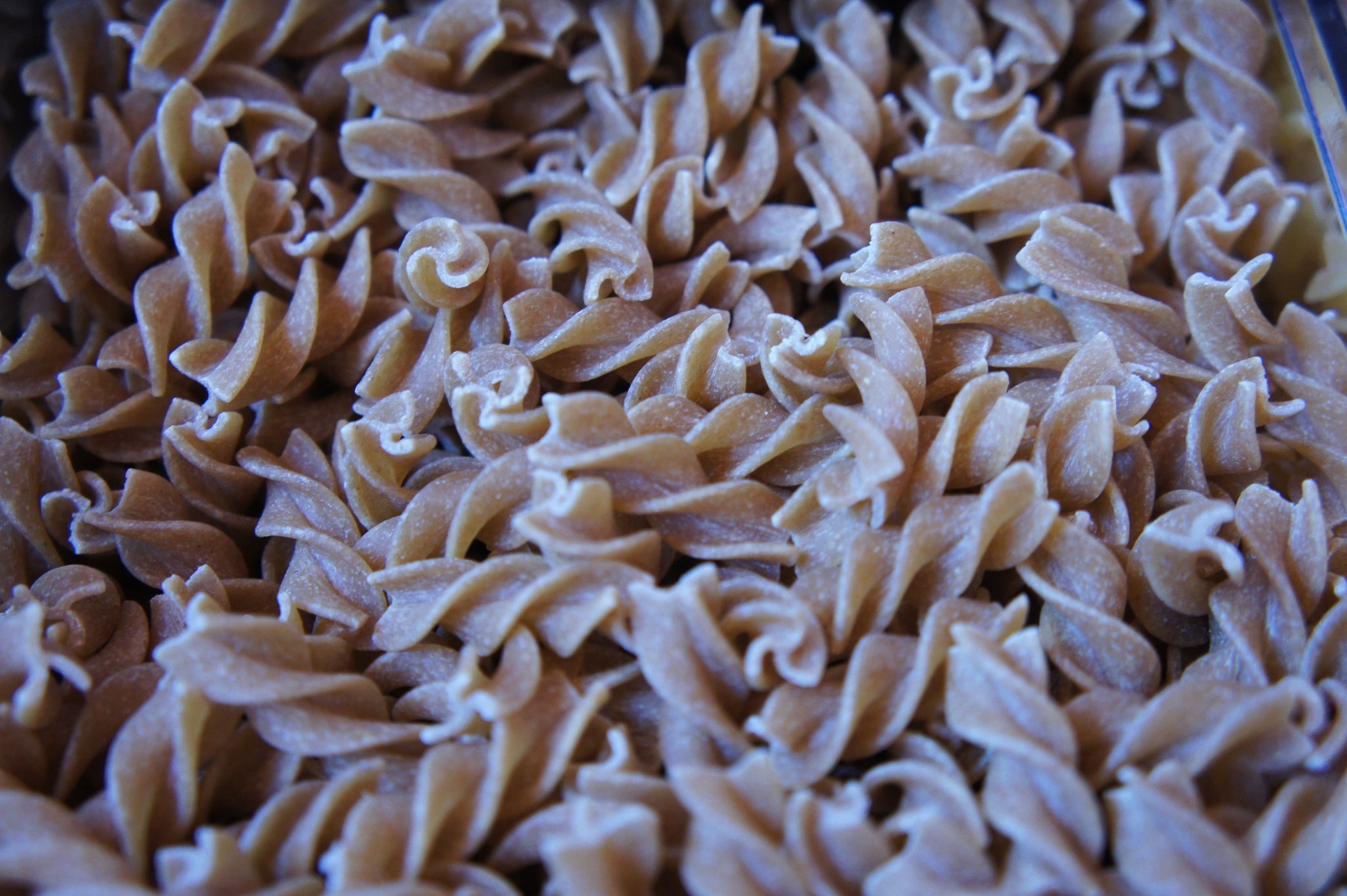 Organic Wholewheat Fusilli per 100g BBE:12/12/24