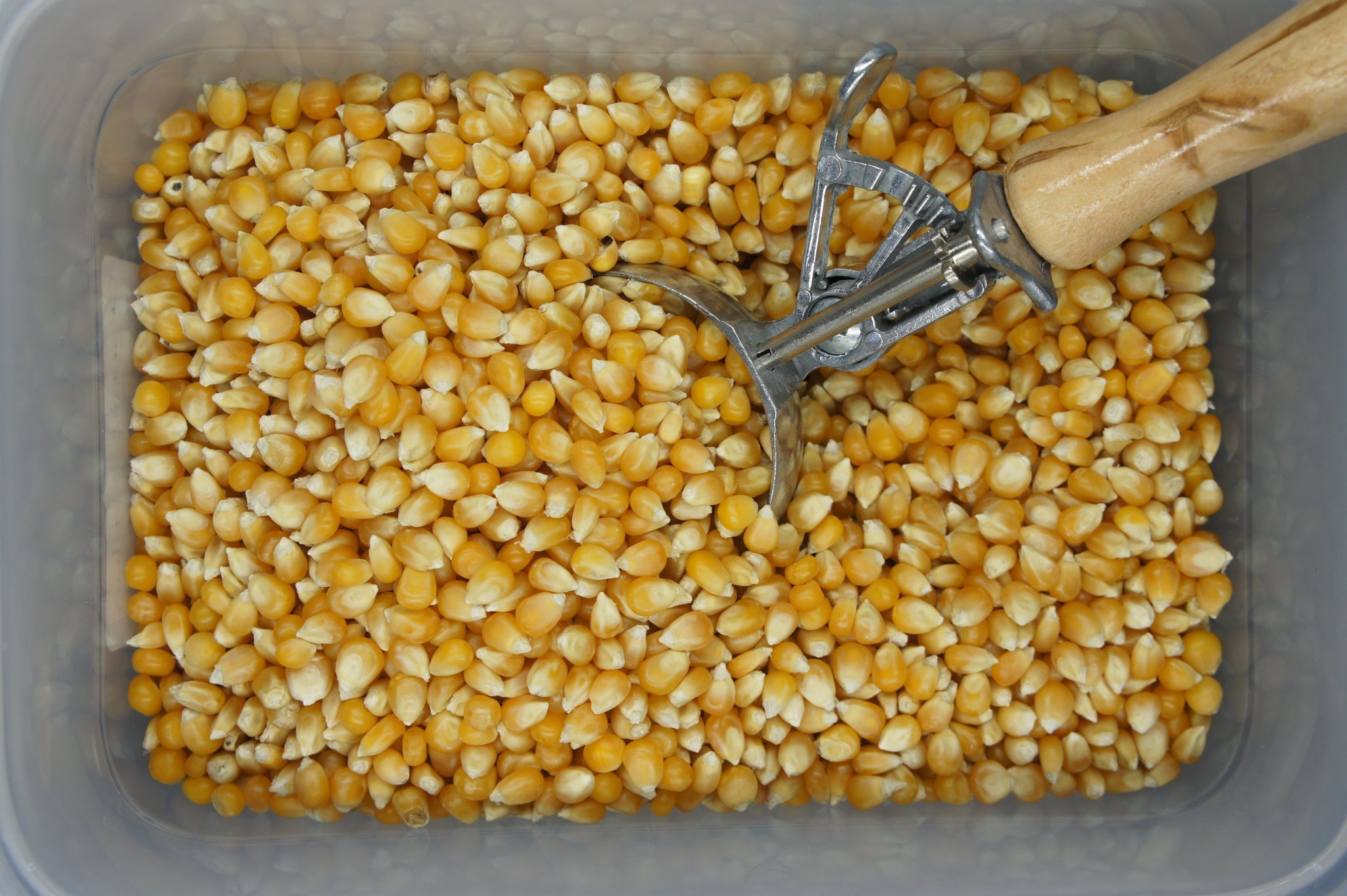 Popping Corn per 100g BBE:Mar24