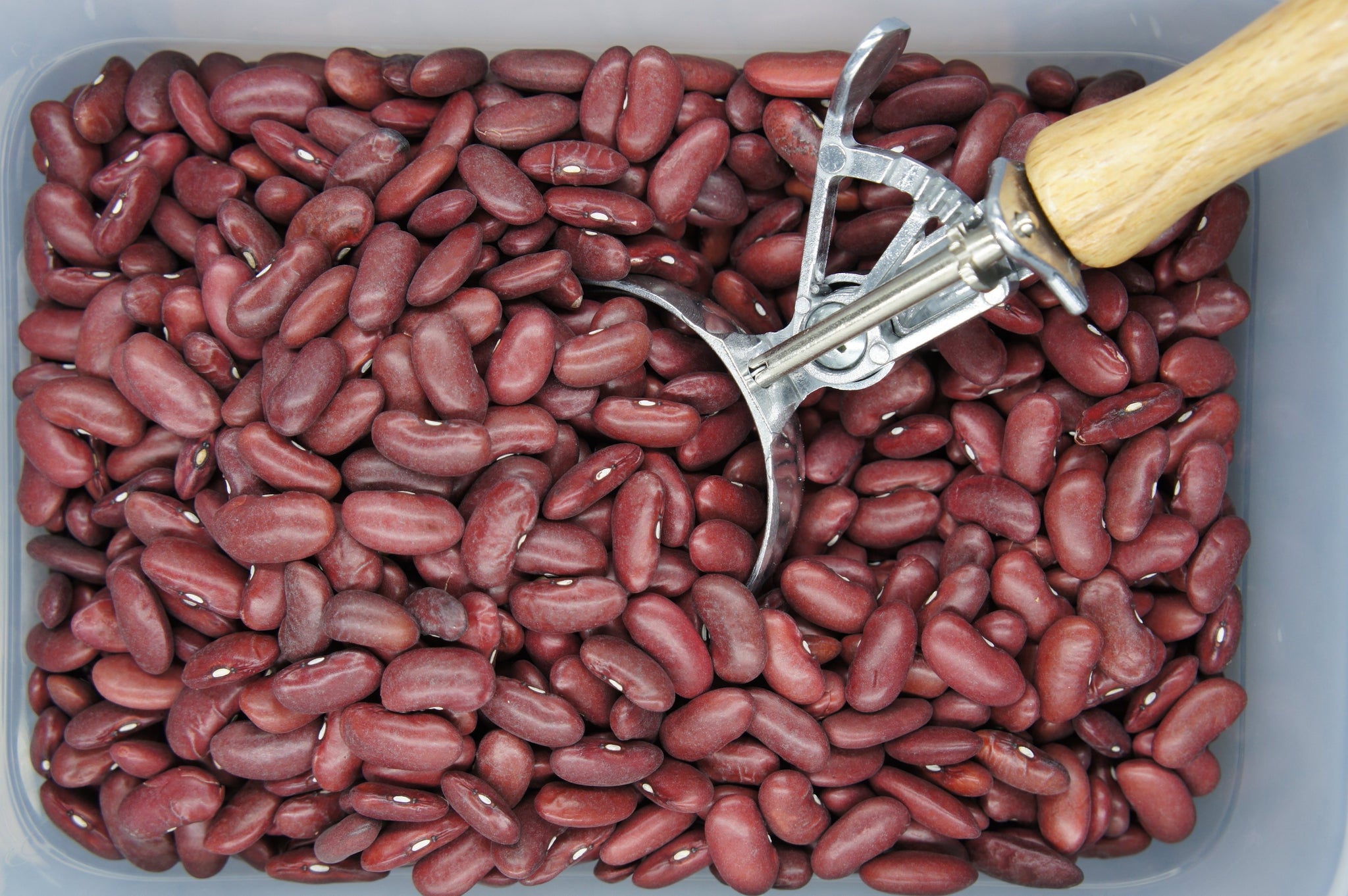 Organic Red Kidney Beans per 100g BBE:Sept 23
