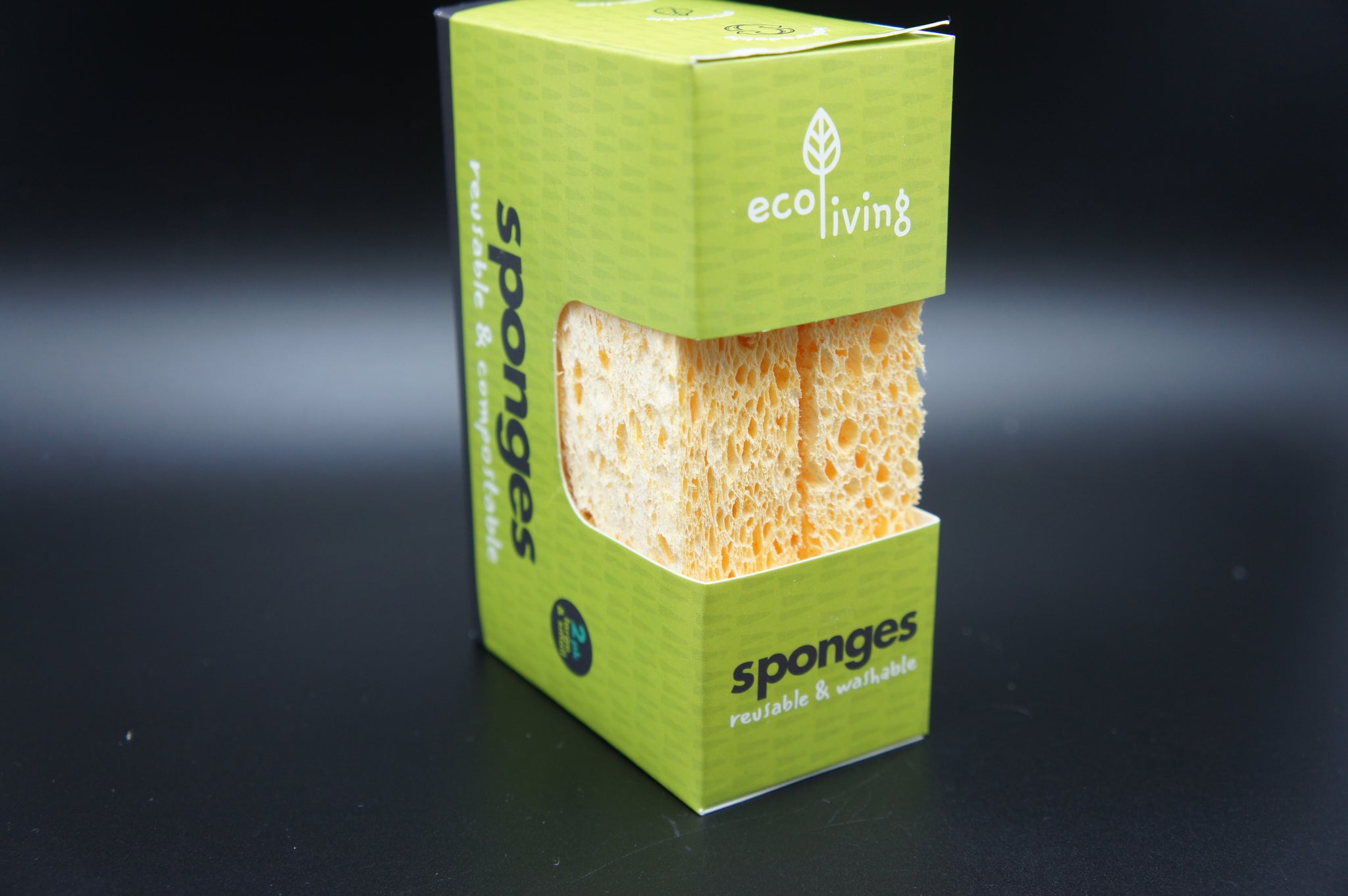 Compostable Sponge x 2